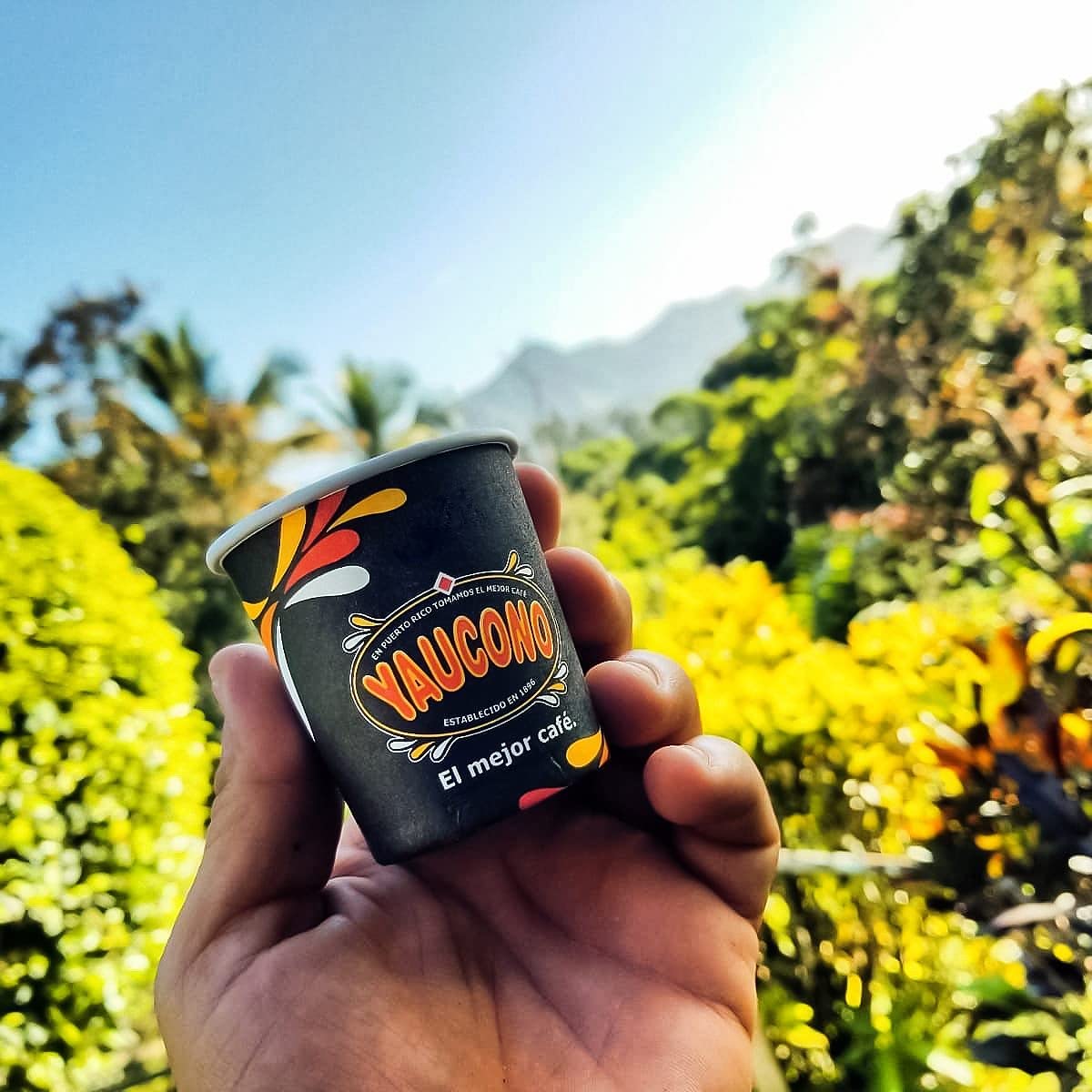 Yaucono Dark Roast Whole Bean Coffee, Puerto Rico, 100% Arabica, 2 Pound (Pack Of 1)