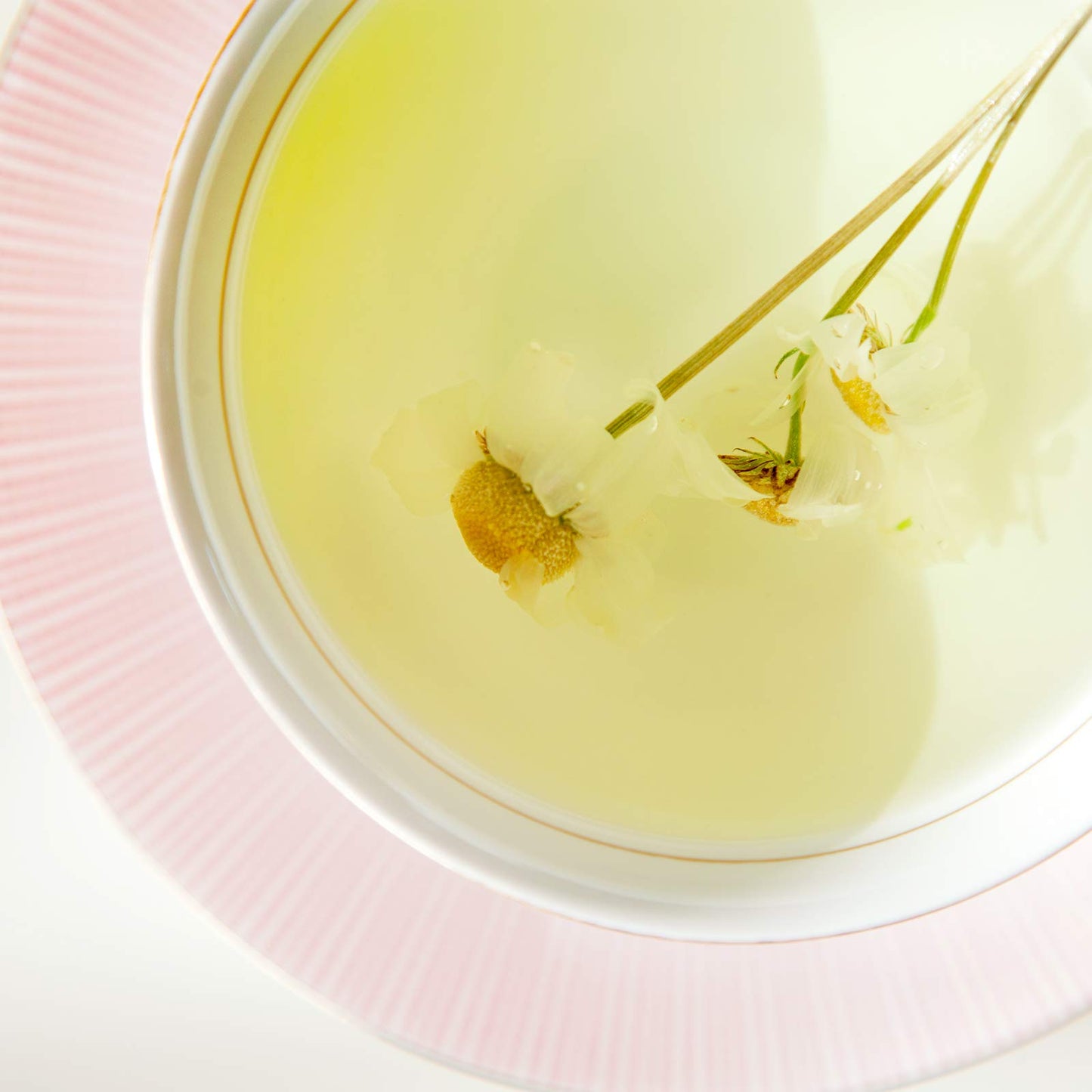 Kkokdam Tea Gift Set - Siberian Chrysanthemum Blooming Stick Flowers - Fancy Korean Gifts For Tea Lovers - 5 Premium Flower Stic