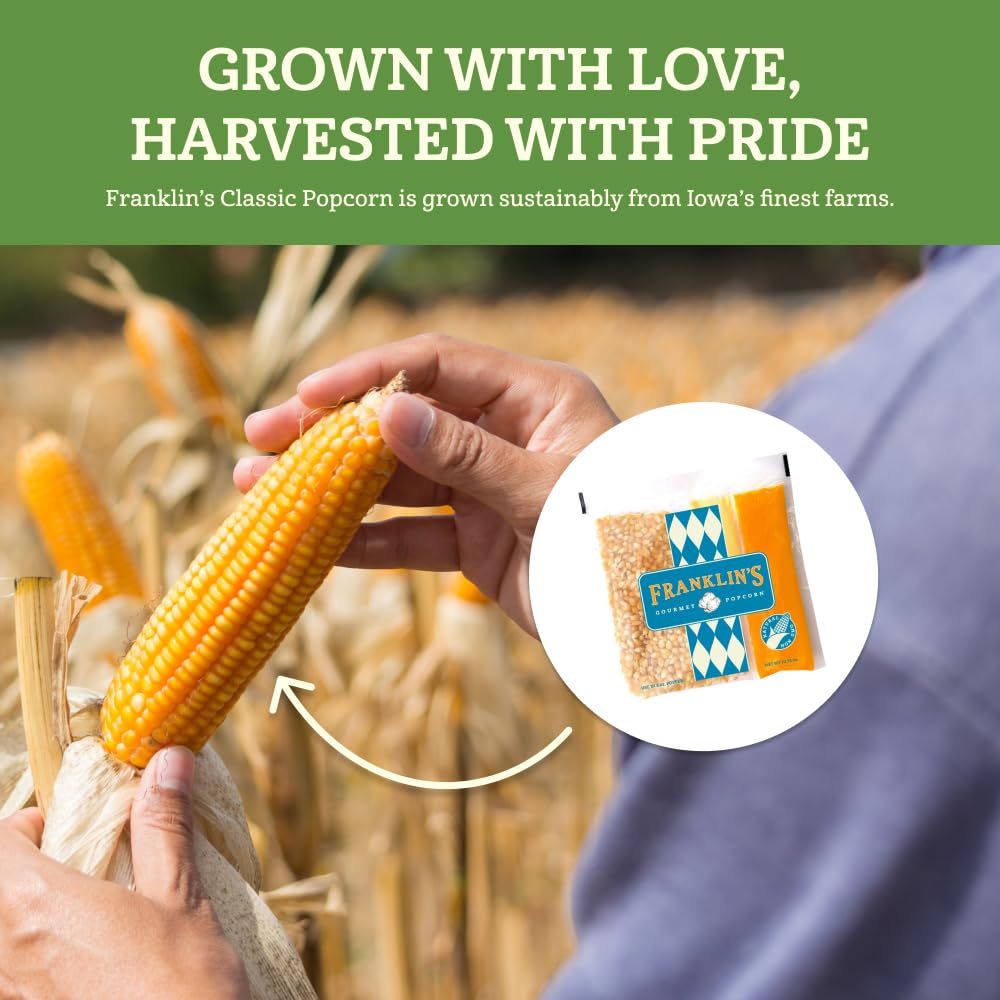 Franklins Gourmet Popcorn All-In-One Pre-Measured Packs - 4oz. Pack of 10 - Butter Flavored Coconut Oil + Butter Salt Popcorn Se