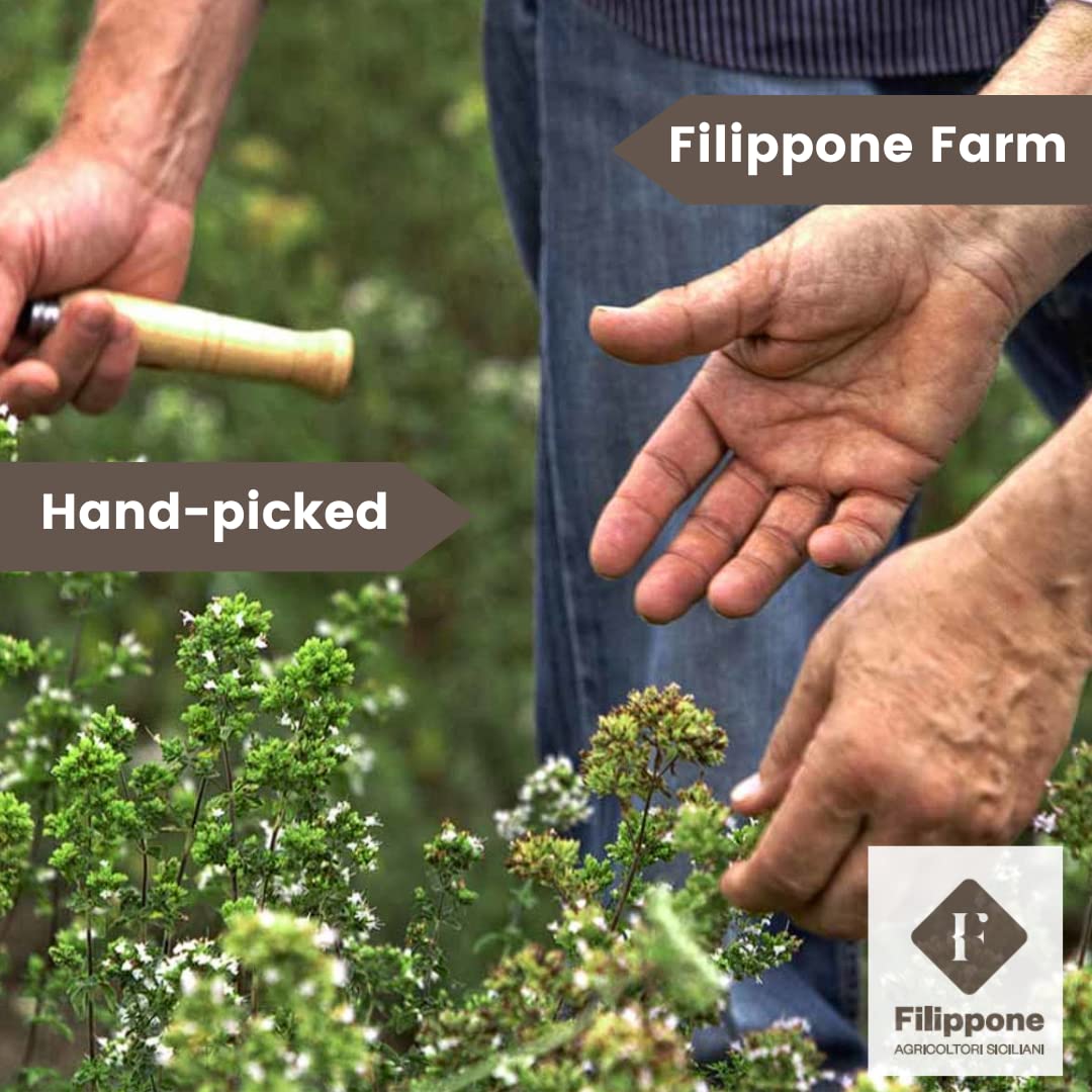 Filippone Organic Dried Lavender Bunch 25 G (0.88 Oz), Freshly Grown In The Mountains Of Sicily, Culinary Lavender, Italian Drie