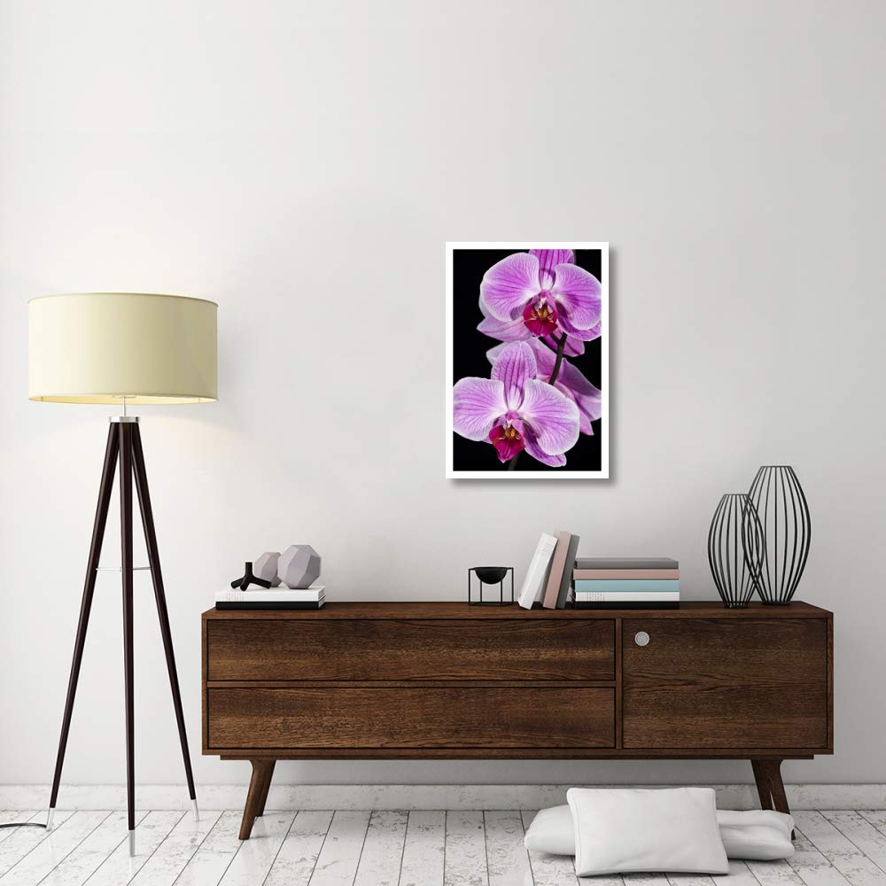 Orchid Flowering, Beveren-Waas, Belgium-Paper Art-22''X32''