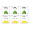 Simply Mints | Peppermint & Lemon Breath Mints Variety Pack | Pack Of Six (180 Pieces Total) | Zesty & Refreshing + Aspartame-Fr