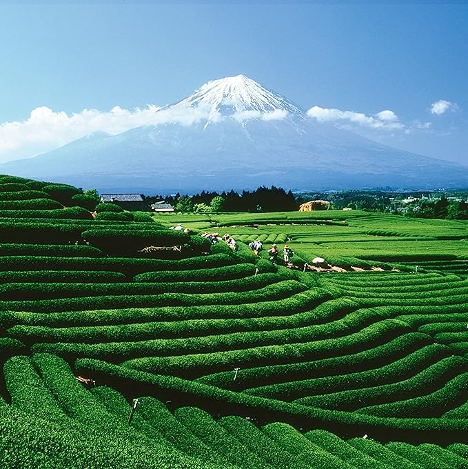 Palais Des Th S - Paris For You By Day - Parisian Gourmet Green Tea- Notes Of Rose, Raspberry, And Lychee - 20 Count Biodegrada