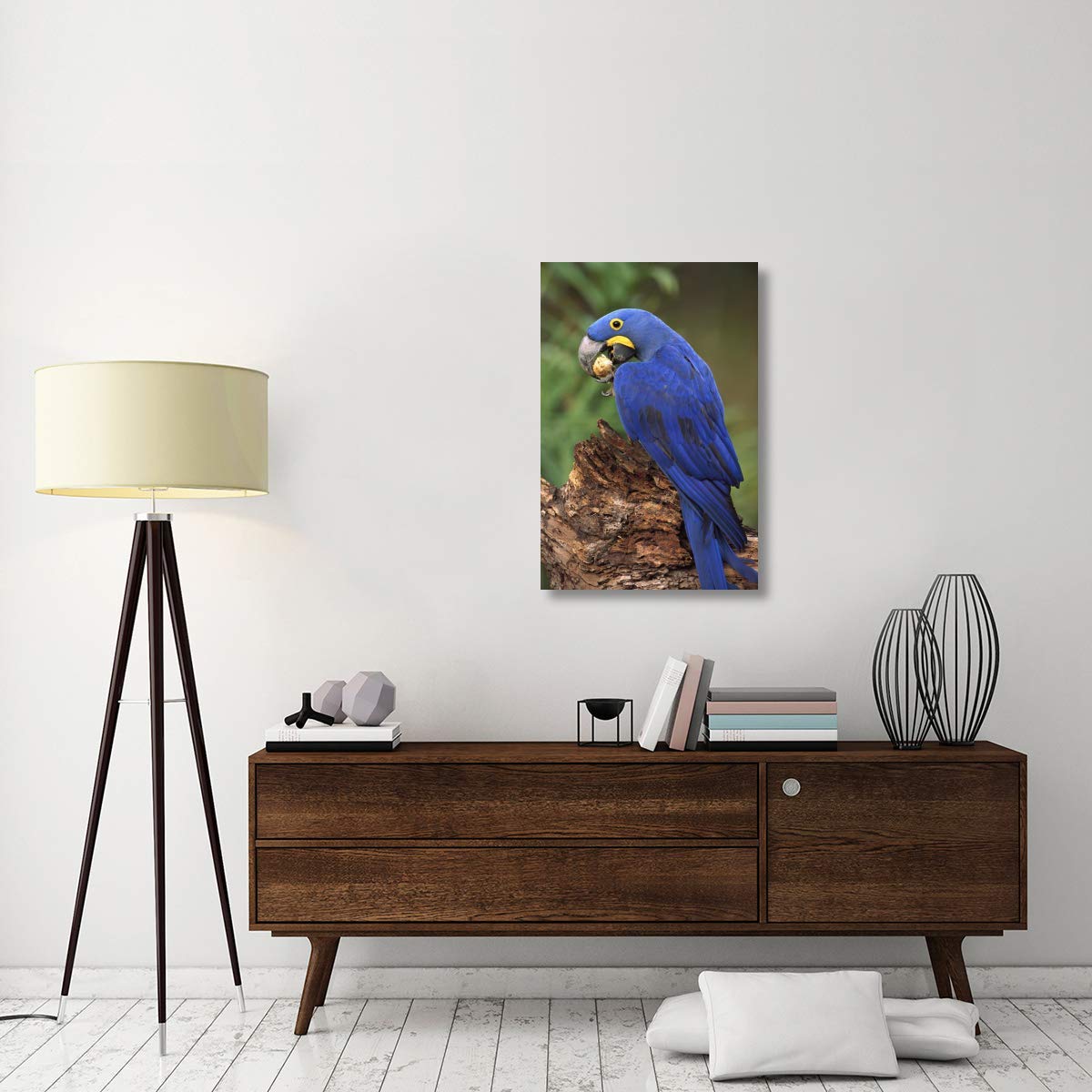 Hyacinth Macaw Eating Piassava Palm Nuts, Cerrado, Brazil-Canvas Art-24''X36''