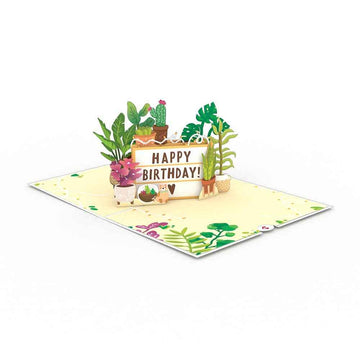 Happy Birthday Plants 5''x7'' Card, Birthday Cards