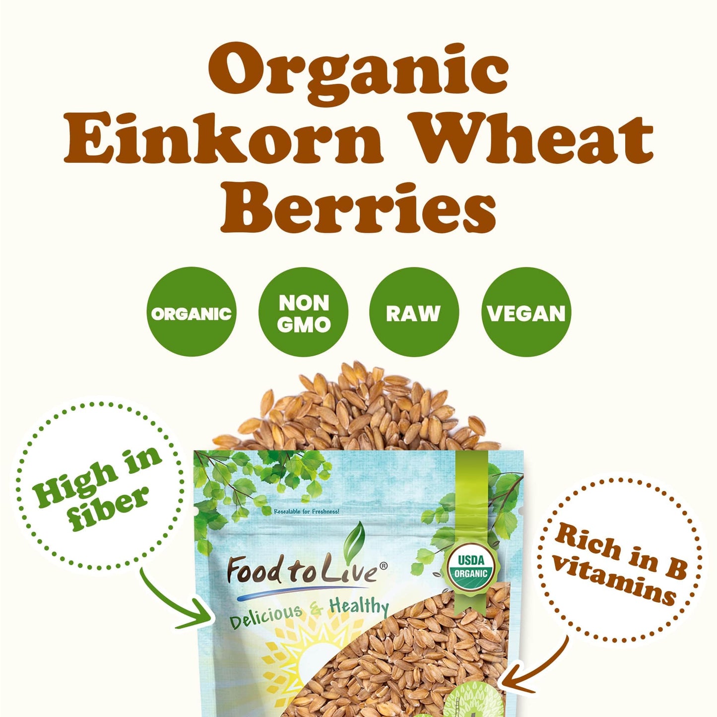 Food To Live - Organic Einkorn Wheat Berries, 12 Ounces - Non-Gmo, Good Source Of Protein, Fiber, And Vitamins. Low-Glycemic Ind