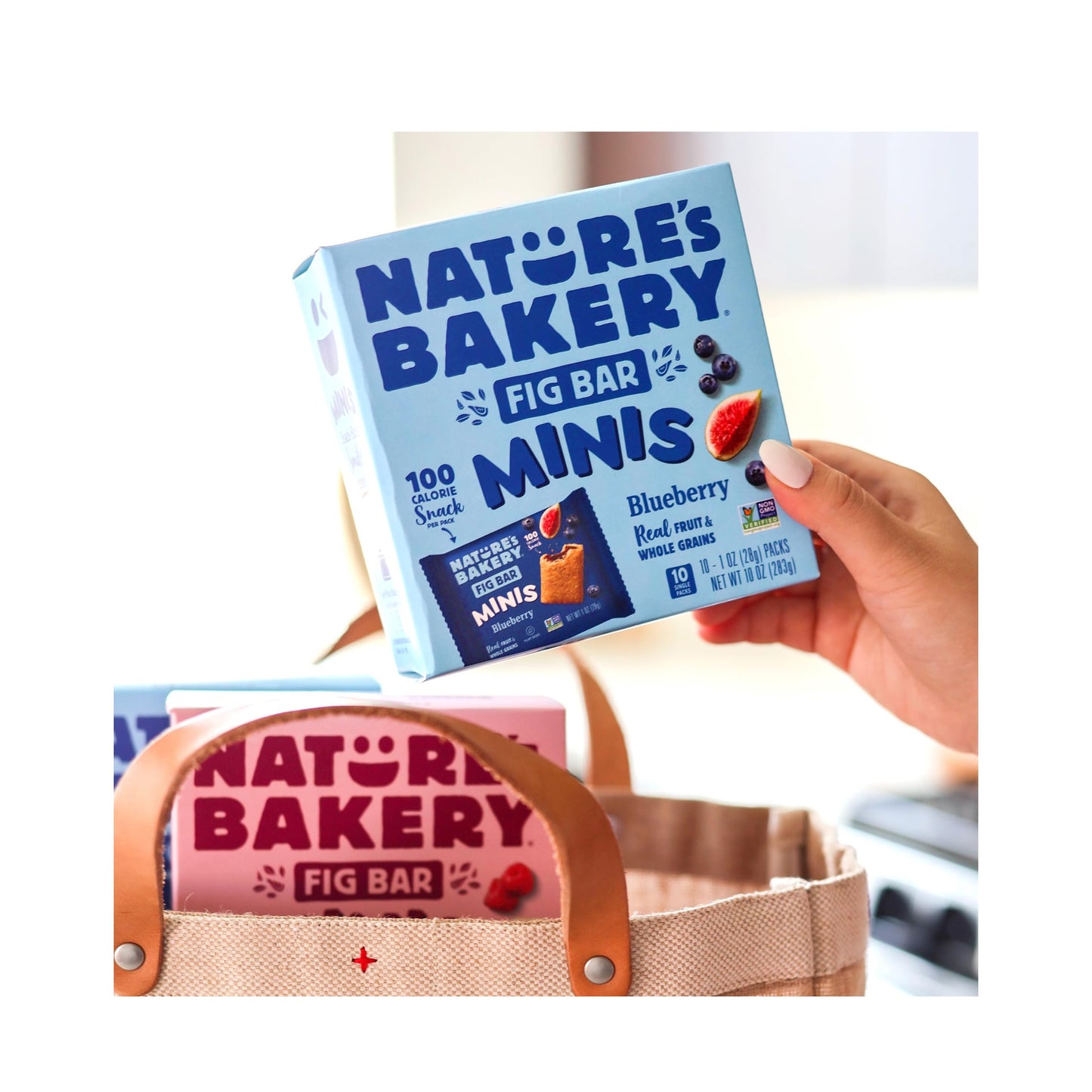 Natures Bakery Fig Bar Minis, Blueberry, Whole Grain, Vegan Friendly, Kosher, Non-GMO, 10 Ounce (Pack of 6)