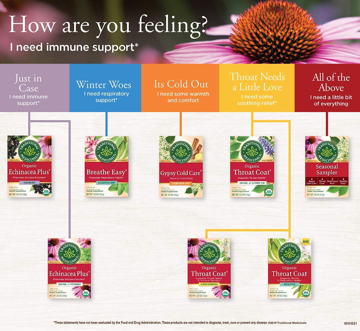 Traditional Medicinals Organic Echinacea Plus Elderberry Herbal Tea, Promotes Immune Function, (Pack Of 1) - 16 Tea Bags