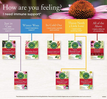 Traditional Medicinals Organic Echinacea Plus Elderberry Herbal Tea, Promotes Immune Function, (Pack Of 1) - 16 Tea Bags