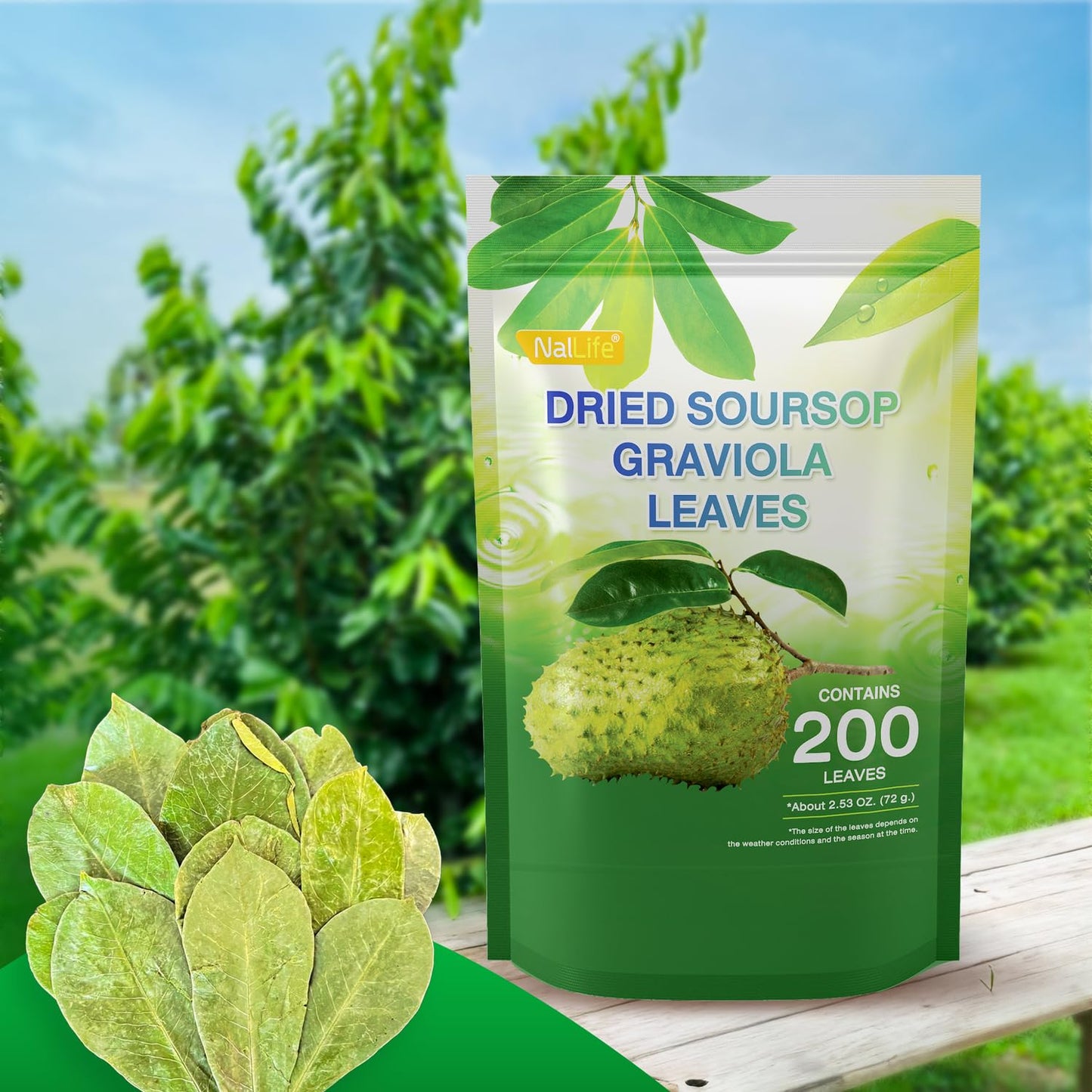 Nallife Soursop Graviola Leaves For Tea 200 Leaves