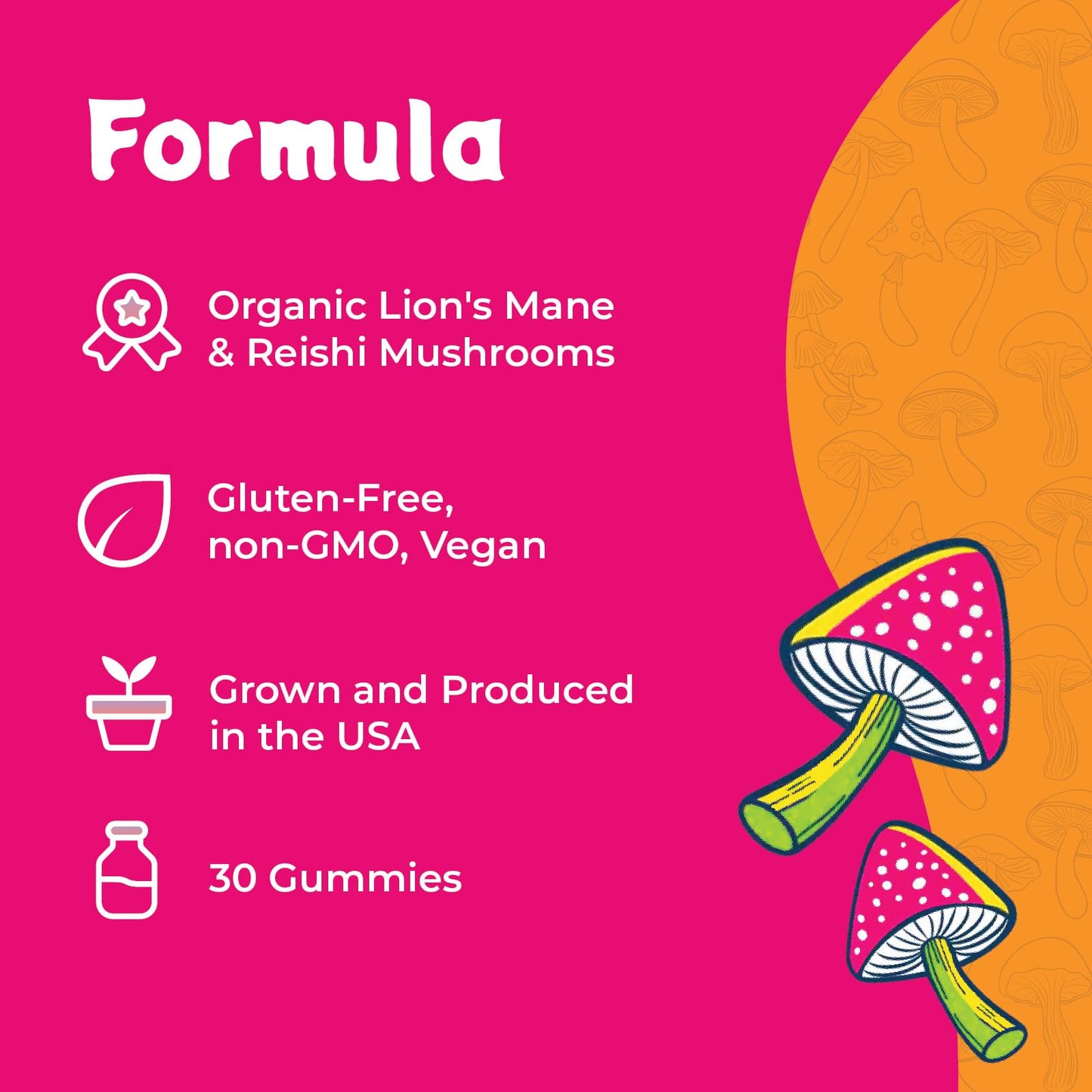 Melting Forest Mushroom D-Stress Drink - Reishi & Lions Mane - Stress Relieving & Focus - Cognitive Function & Mental Clarity - 12 Pack - Watermelon Elderflower