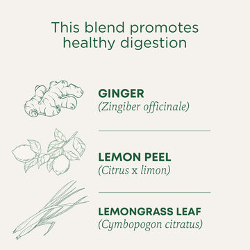 Traditional Medicinals Tea, Organic Lemon Ginger, Promotes Healthy Digestion, 16 Tea Bags