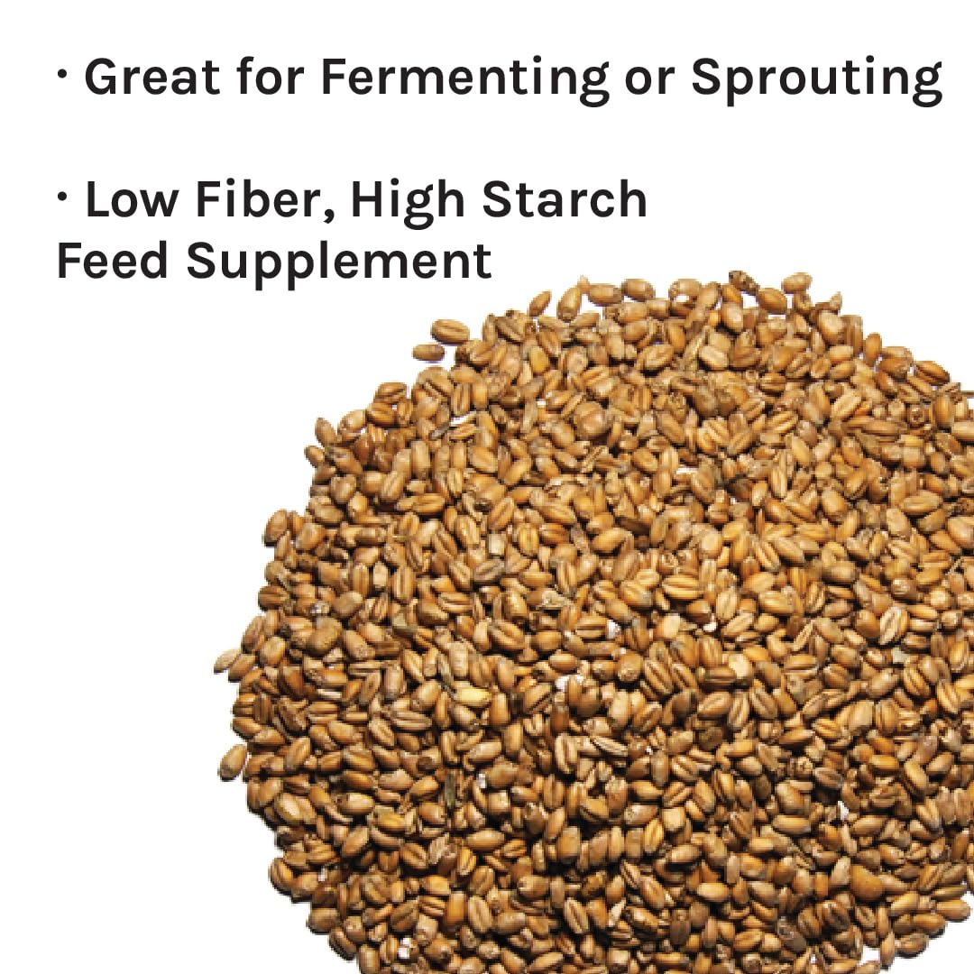 New Country Organics | Organic Wheat, Unmilled | Certified Organic And Non-Gmo | Feed Grade | 40 Lbs