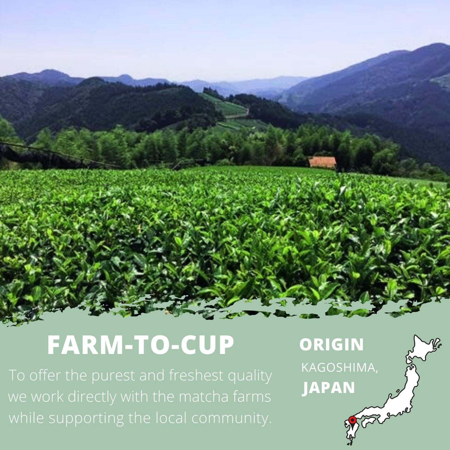 Matcha Tea Ceremonial Grade, Authentic Japanese Matcha, Fresh Small Batches, Farm To Cup Superfood From Japan, 1.06Oz