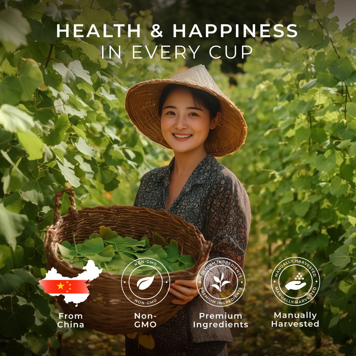 Gya Tea Co Ginkgo Biloba And Ginseng Herbal Tea Pod (16 Ct) - Decaf Wellness Tea For Energy, Relaxing & Digestive Health