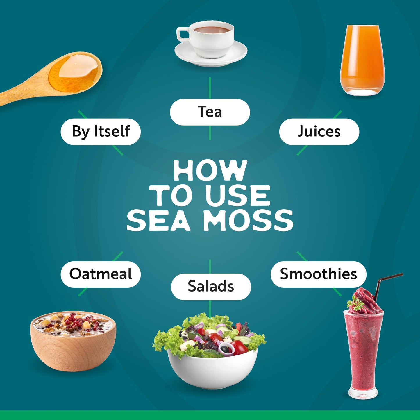 Herbal Vineyards Wildcrafted Irish Strawberry Sea Moss Gel 16 Oz - Organic Seamoss Gel Made With Dried Seaweed & Fresh Sea Veget