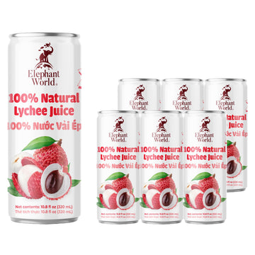 Elephant World 100% Natural Lychee Juice | Non Gmo | 10.8 Oz (Pack Of 6), Lychee