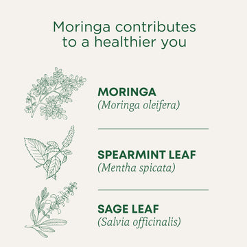Traditional Medicinals Organic Moringa Tea, With Spearmint & Sage, Usda Certified Organic, Non-Gmo, 16 Count (Pack Of 6)