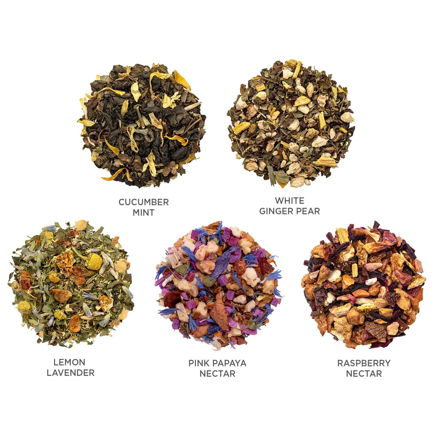 Tea Forte Mariposa Tea Sampler With 10 Pyramid Tea Infuser Bags - Fruit, Herb And Flower Tea - Petite Presentation Box Assorted Variety Tea Gift Set