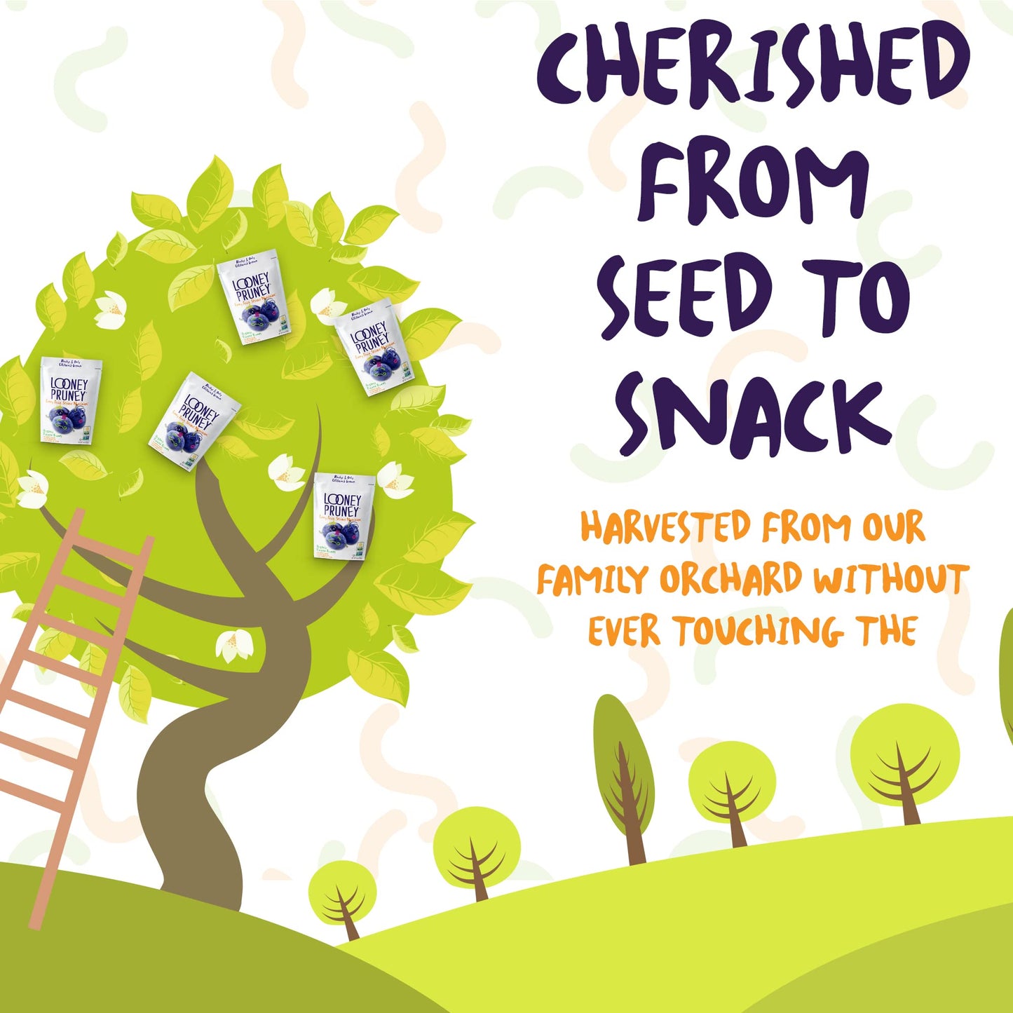 Looney Pruney Organic Pitted Dried Prunes, No Added Sugar, Kosher, 9 Ounce (Pack of 6)