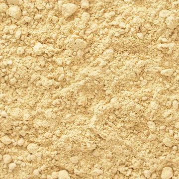 Frontier Co-op Organic Ginger Root Powder, Ground - Fairtrade Certified, Kosher, Bulk Bag - Warm Spicy-Sweet Flavor for Curry, T