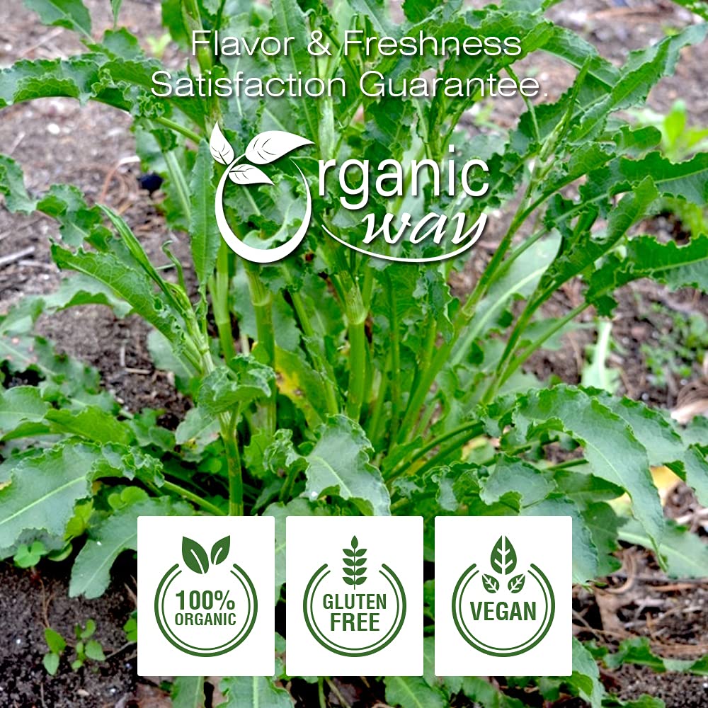 Organic Way Yellow Dock Root Cut & Sifted, Organic & Kosher Certified, 8 Ounce, Vegan, Non-GMO, Gluten-Free, Origin - Albania