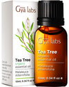 Gya Labs Australian Organic Tea Tree Oil For Skin - 100% Natural Tea Tree Oil For Hair - Tea Tree Oil For Face - Tea Tree Essent