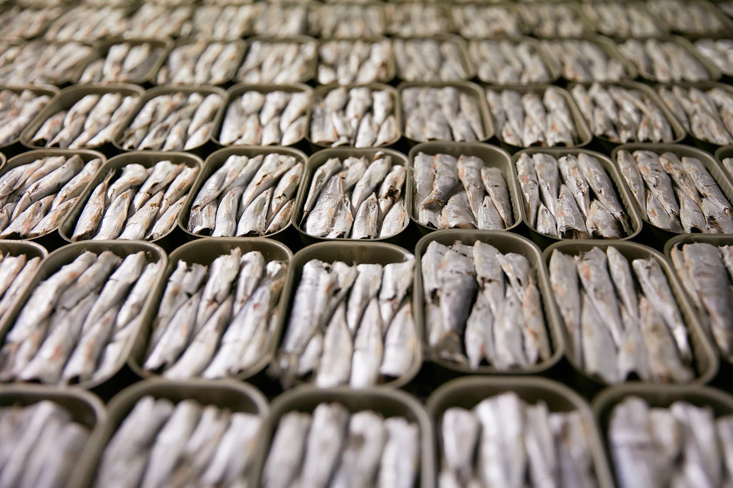 Matiz Sardinillas with Piquillo Peppers | Baby Sardines 3 Ounce | Product of Spain | Wild Caught | Gluten Free |