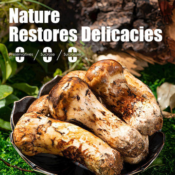 Gluten Free Vegan Oyster Sauce - Low Sodium, Non-Gmo, No Preservatives/Msg - Healthy Stir-Fry & Marinade Sauce - 12 Fl Oz Squeez