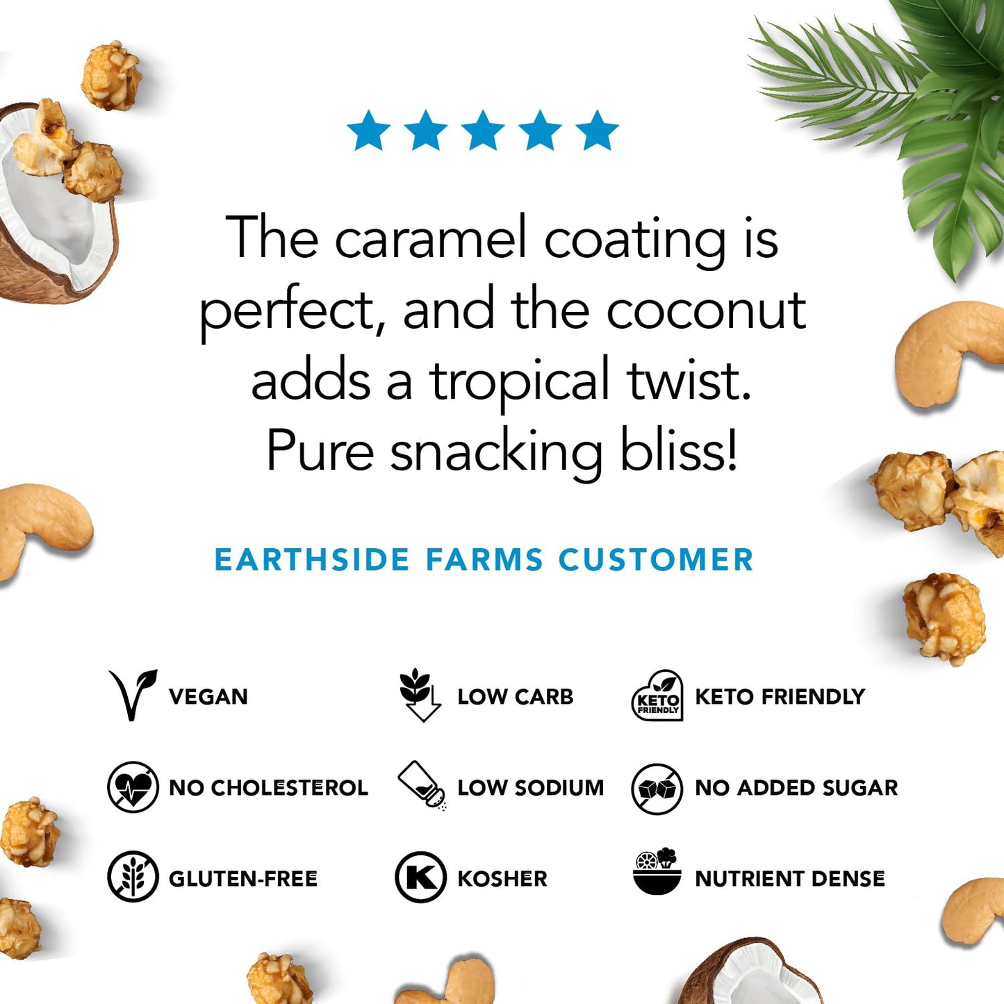 Earthside Farms Coconut Caramel Cashews, Candied Cashews, Low Sugar Keto Snack, Non Gmo, Plant Protein, Vegan, Whole, Natural, S