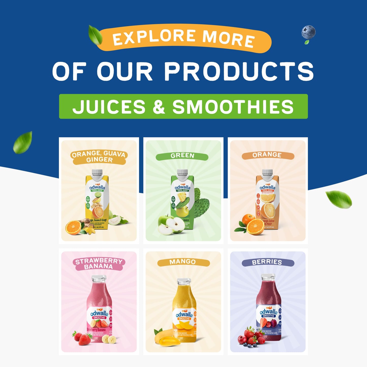 Odwalla Orange Juice No Pulp - 100% Pure Orange Juice Pulp Free - Vitamin C - No Added Sugar No Artificial Ingredients No Preservatives - 16 fl oz of OJ (12 Pack)