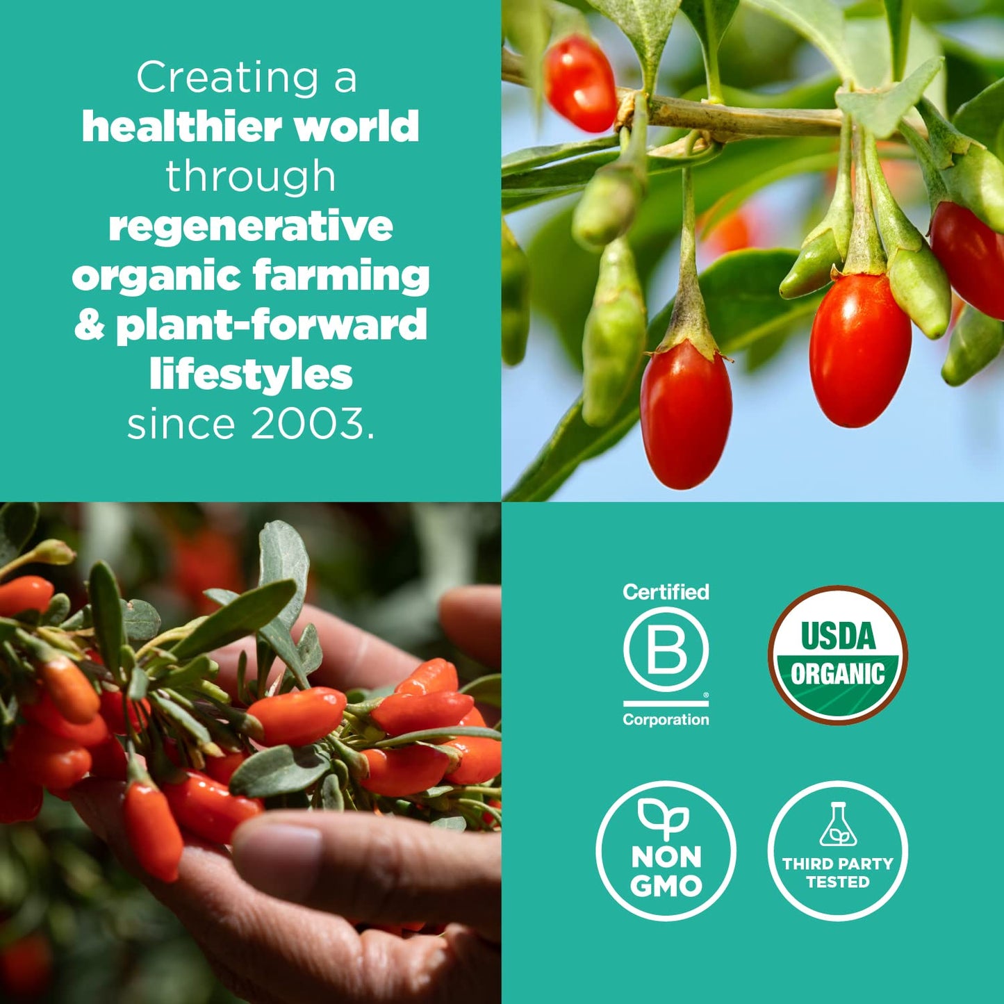 Navitas Goji Berries Organic 8 Ounces (12-Pack)