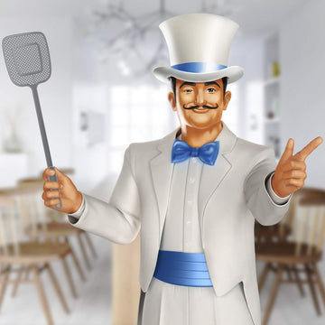 Mr.Siga Heavy Duty Long Handle Fly Swatter, Gray, 6 Pack