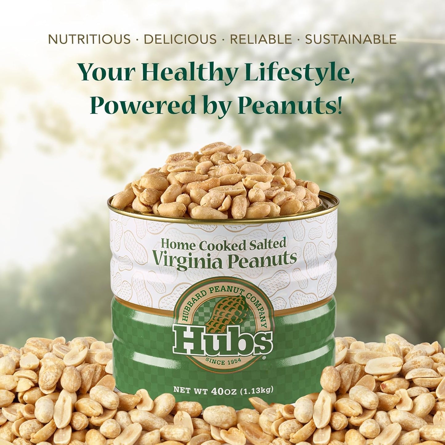 Hubs Peanuts Premium Salted Virginia Nuts - Irresistible Crunch & Flavored Nuts - Non-Gmo, Gluten Free - Xxl Peanuts From Top 1% Crop - Reusable Tin - Perfect Snack For Any Occasion - 2 X 40Oz Cans