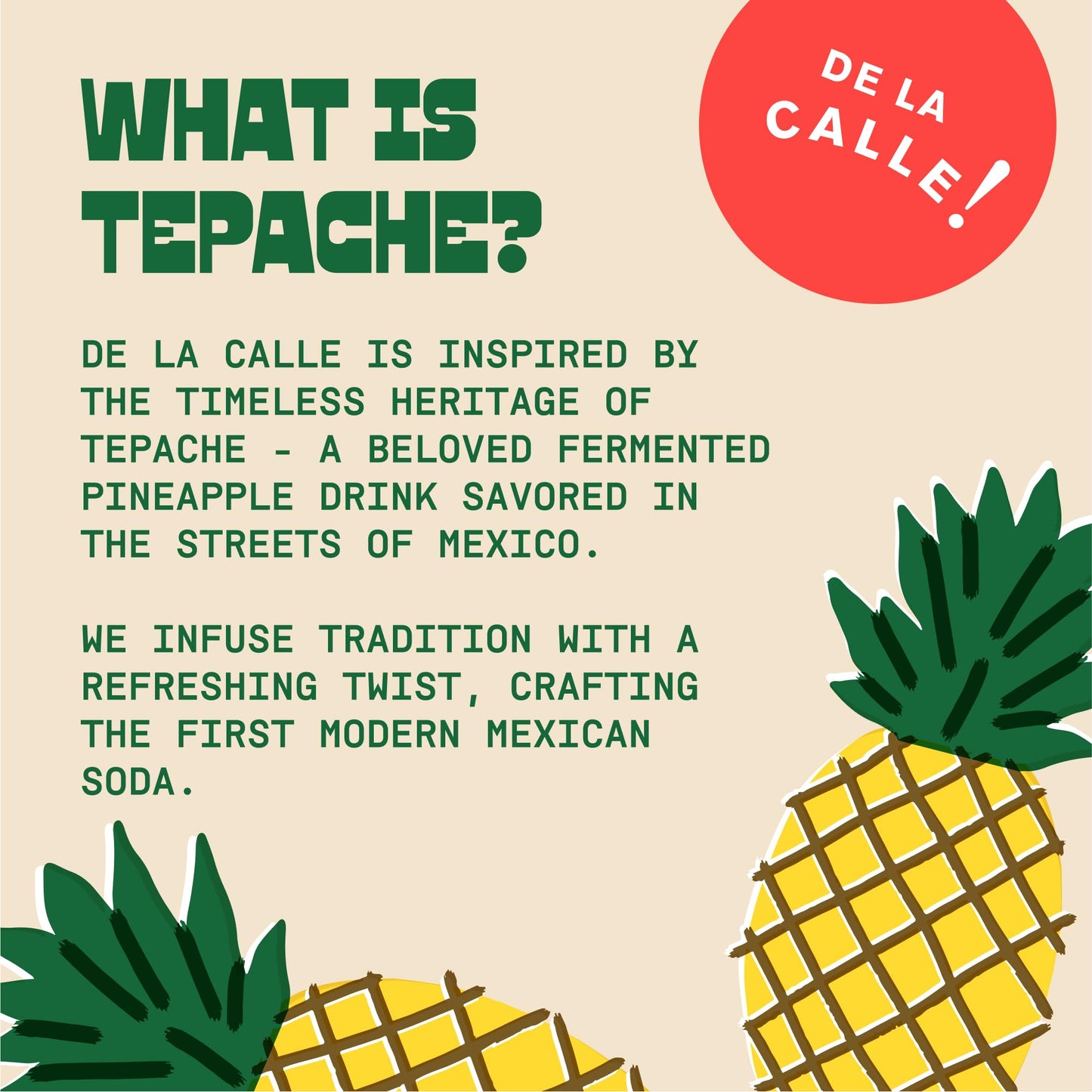 De La Calle Tepache - Pineapple Spice - Modern Mexican Soda - Craft Fermented Pineapple Sparkling Beverage - Certified Organic, Antioxidant Rich, Non- Ic, Healthy Soda, Low Sugar, Low Calorie, Non-Gmo