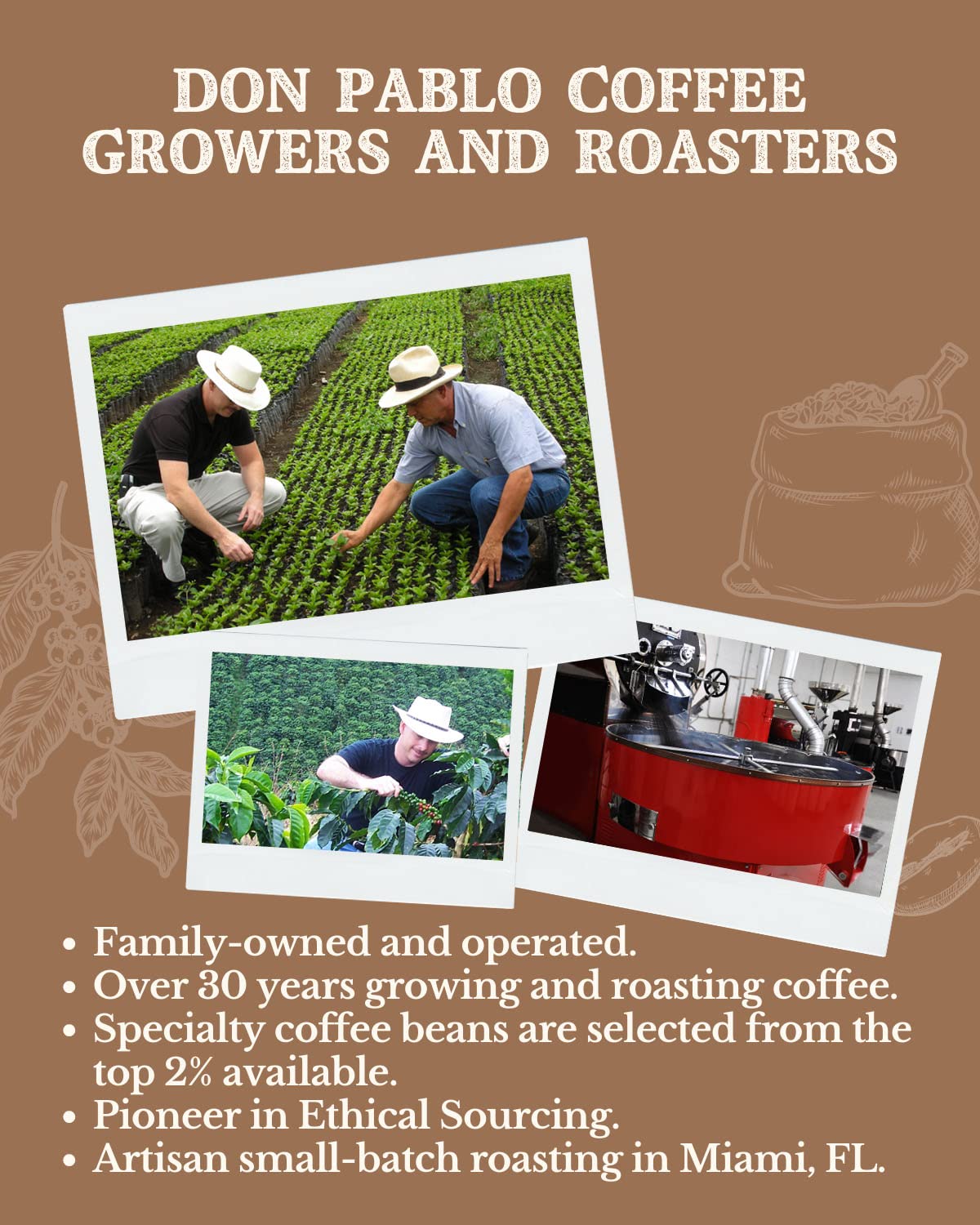 Subtle Earth Organic Coffee - Dark Roast - Whole Bean Coffee - 100% Arabica Beans - Low Acidity and Non-GMO - 2lb bag