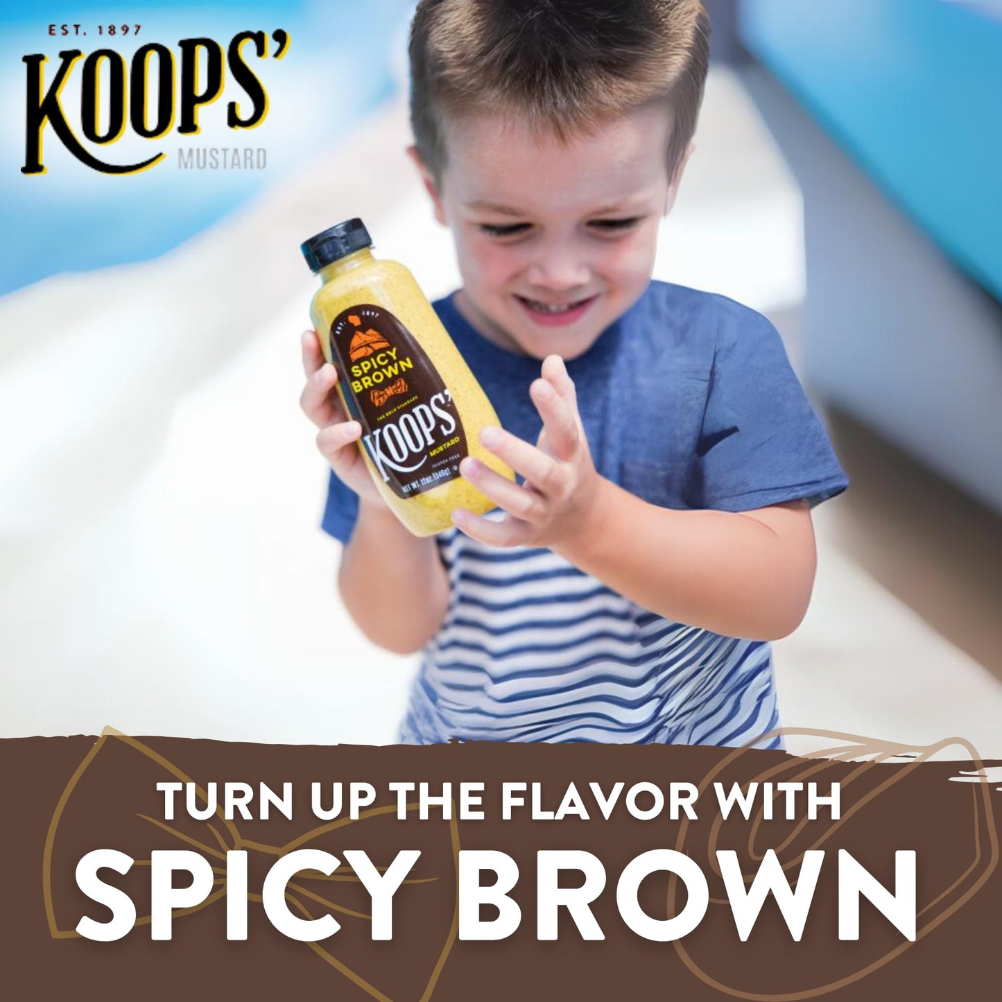 Koops' Spicy Brown Mustard - Bold And Brown Mustard Sauce, Gluten-Free, Kosher, Usda Certified Organic, Made In Usa, From Qualit