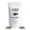 ecoEat Edible Insects Giant Crickets - 15g Bag - Edible Snack Gift
