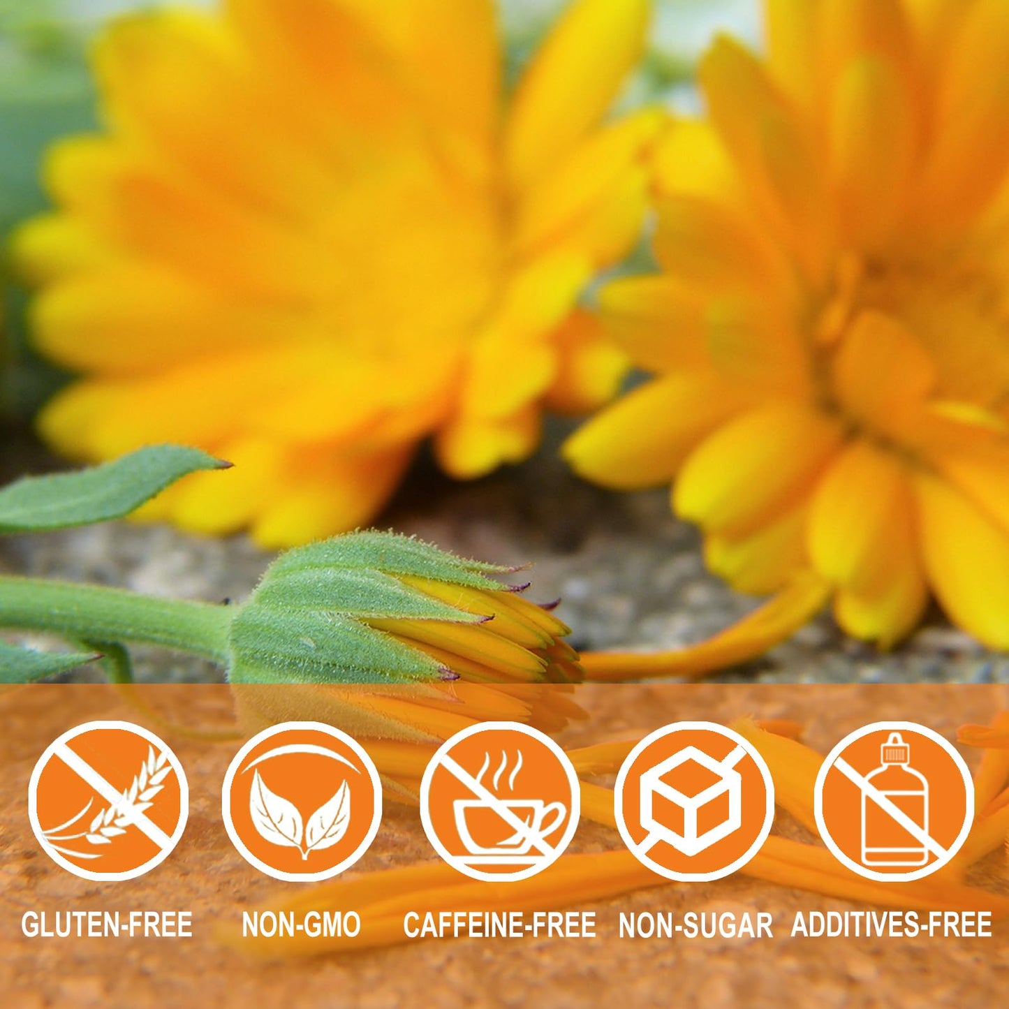 Jarteela Calendula Tea Bags - Natural, Non-GMO, Caffeine-free, 36 Count (Pack of 1)