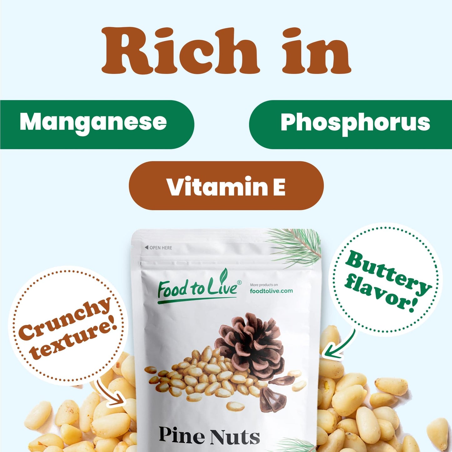 Food to Live Pine Nuts, Whole Raw Pignolias, Unsalted, Kosher, 1 Pound