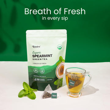 Teaniru, Spearmint Green Tea - 30 Count | For Quick Digestion & Healthy Skin | High In Antioxidants, Vitamin C & Iron | Your Any