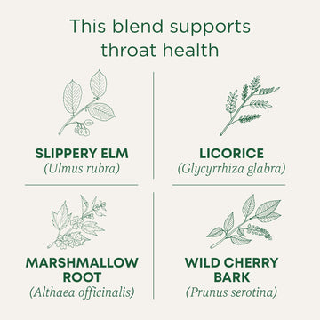Traditional Medicinals Organic Throat Coat Tea - 96 Bags (6 Pack) - Supports Throat Health