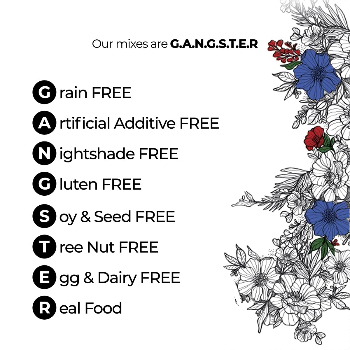 eat G.A.N.G.S.T.E.R Pancake & Waffle Mix | Gluten-Free, Grain-Free, Allergy-Friendly. Easy to Make, Vegan, Great for those with