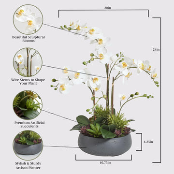 Cg Hunter Faux Orchid Plant W/Succulents, Premium Artificial Indoor Flower Display Stands 24    W/Beautiful Sculptural Blooms An