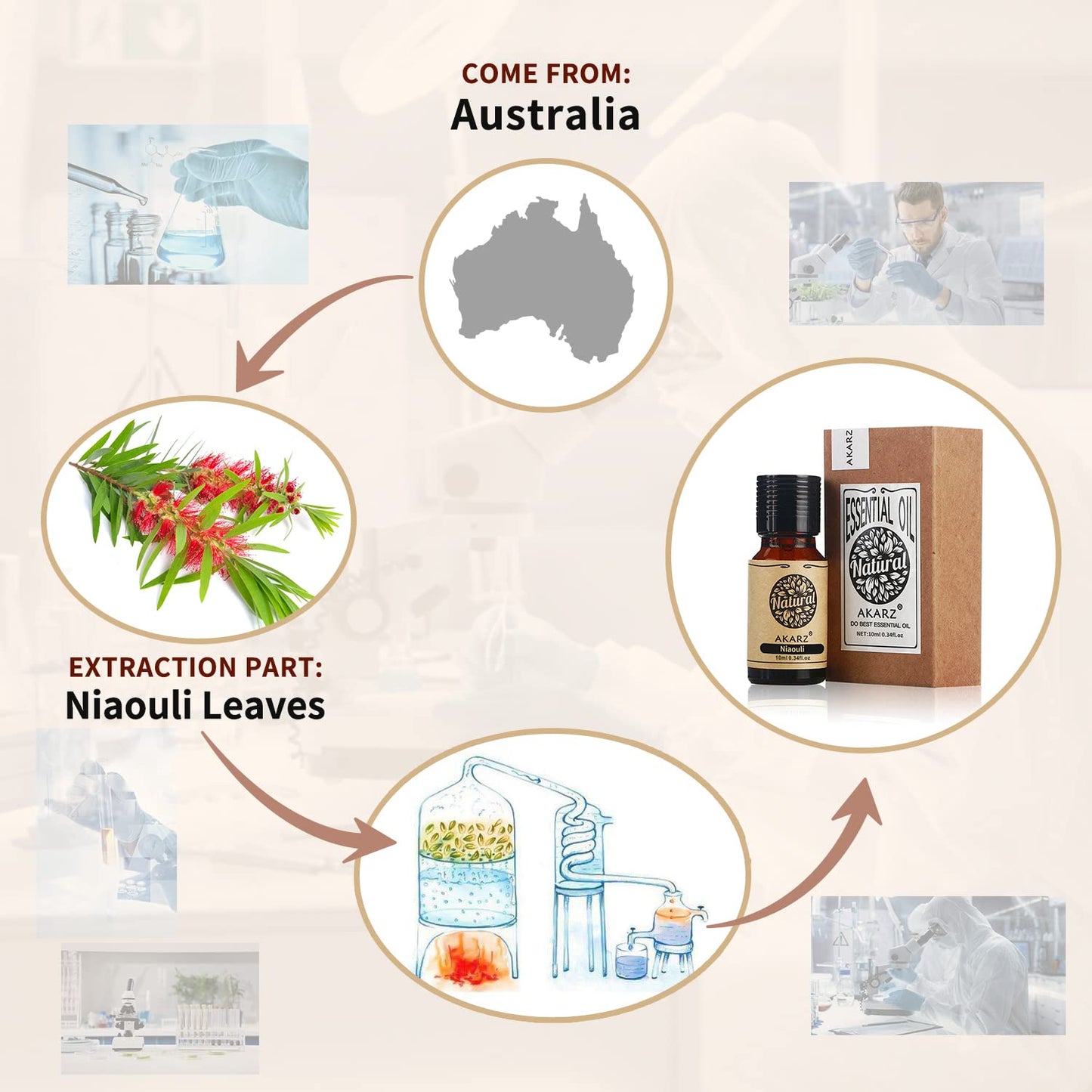 Akarz Niaouli Essential Oil Natural Organic Pure Premium Therapeutic Niaouli Oil For Skin Body Hair Care,Diffuser, Candle,Soap,M