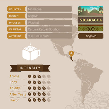 Nicaraguan Coffee, Whole Bean Coffee, Premium Nicaragua Segovia Single Origin Fresh Roasted Coffee Beans | Cubico Coffee | 12 Ounce Bag
