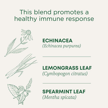 Traditional Medicinals Organic Echinacea Plus Tea, 16 Count (Pack of 6), Promotes Immune Function, with Spearmint