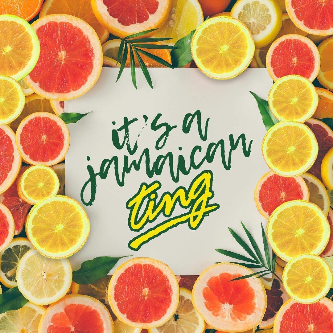 Ting, Sparkling Jamaican Grapefruit Flavored Beverage, 10.14Oz Glass Bottle (Pack Of 6, Total Of 60.84 Fl Oz)