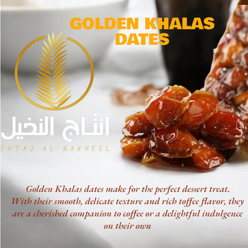 Golden Khalas Saudi Dates - 4 Pack-Box 8.8 Lbs Premium, Juicy & Naturally Sweet | Soft Texture, High Fiber & Antioxidants Dried