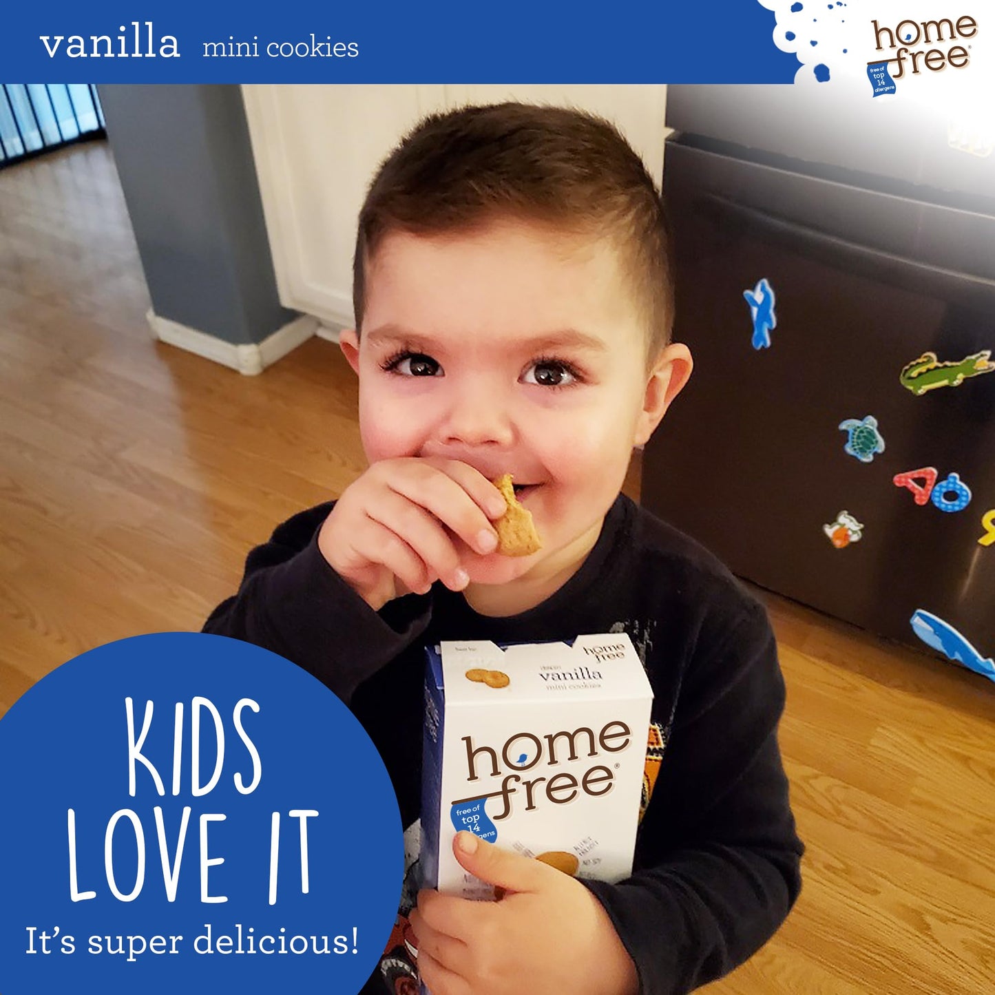 Homefree Treats You Can Trust, 70% Organic, Vanilla Mini Cookies, 5-Ounce (Pack Of 6)